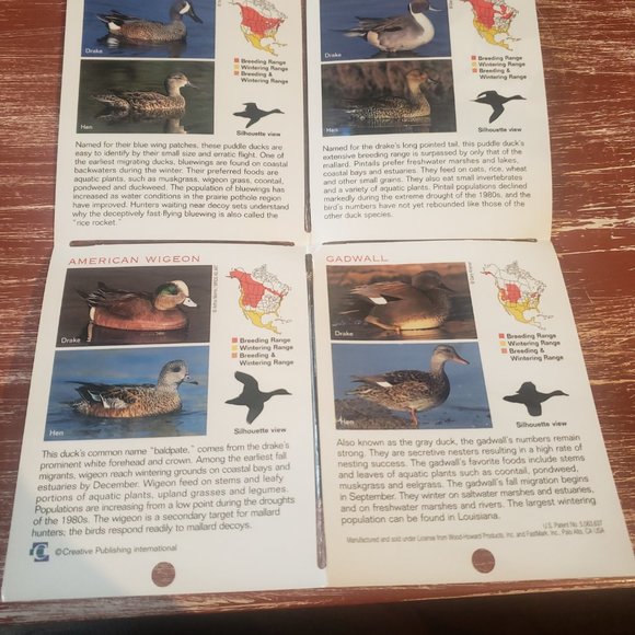 Duck Hunting Laminated Pocket Guides - Set of 3 - Picture 2 of 11